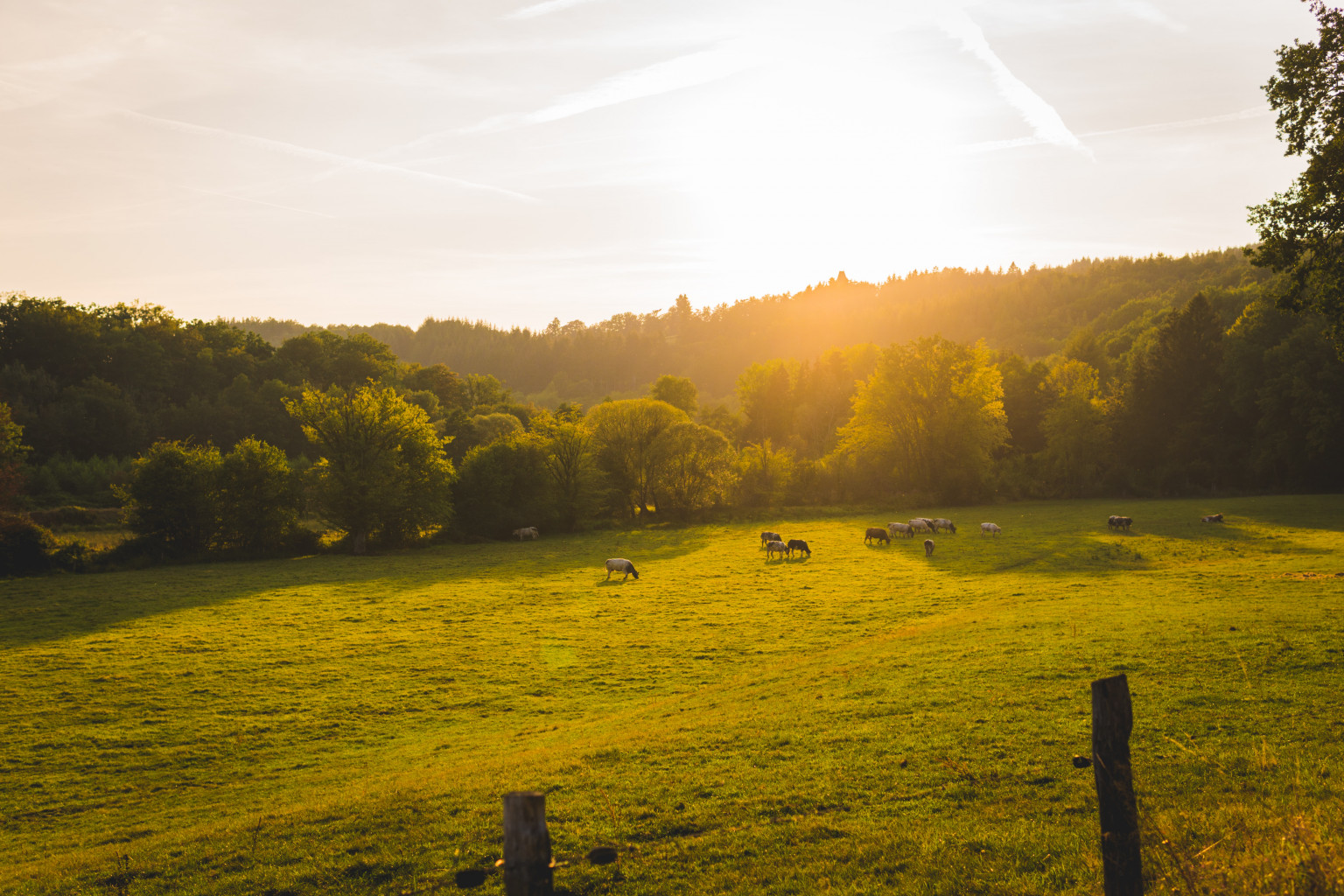 Een typisch uitzicht in de Ardennen