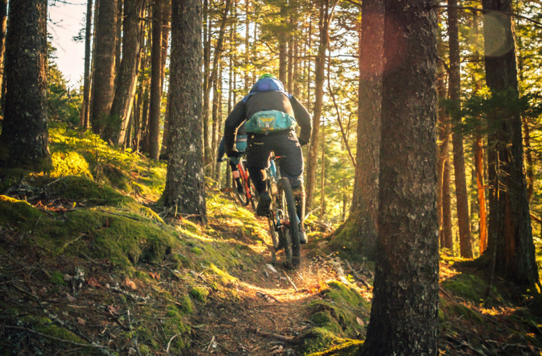 Mountainbike in de bossen